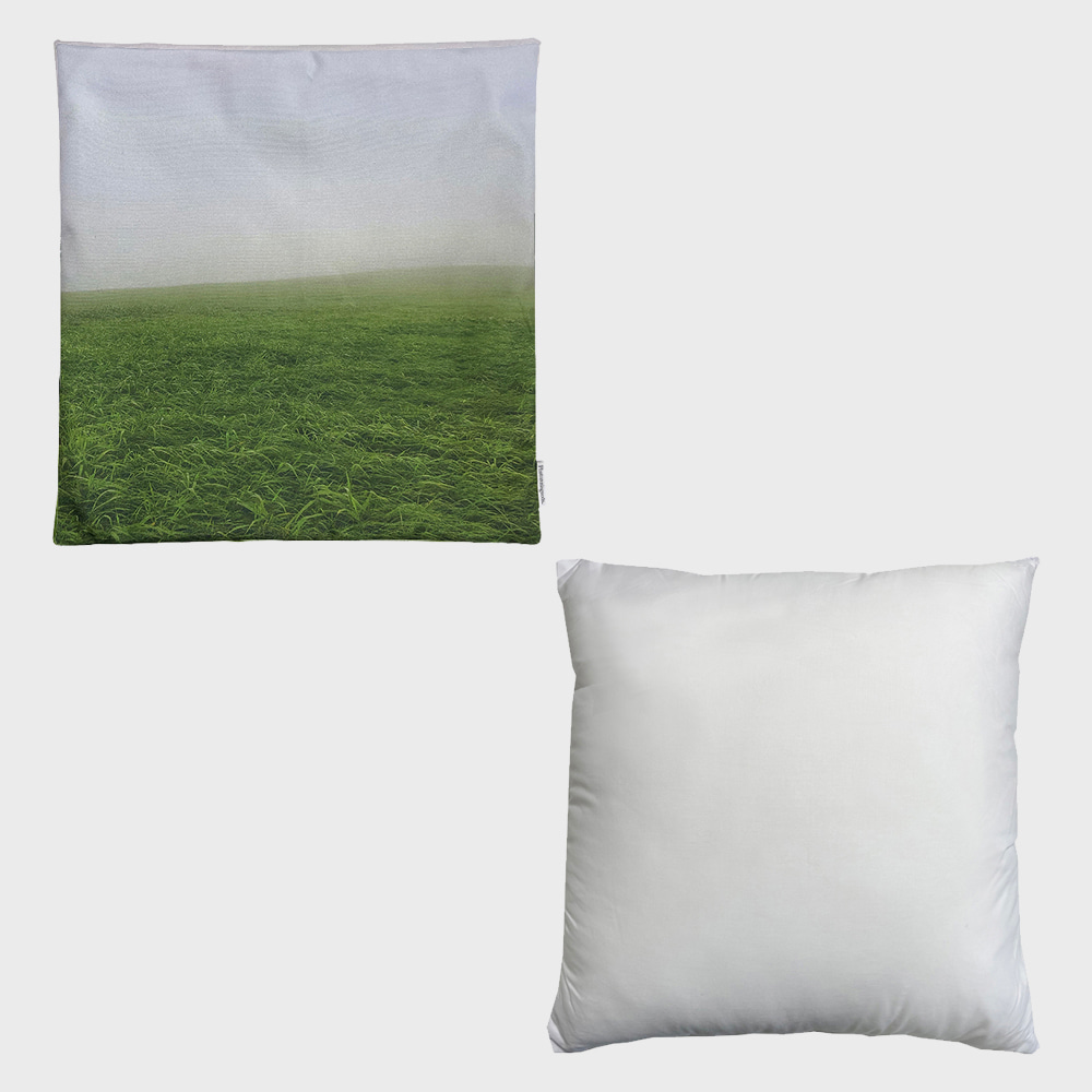 Gangwondo meadow cushion