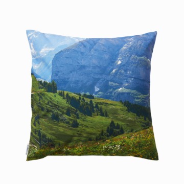 Swiss enjoy cushion