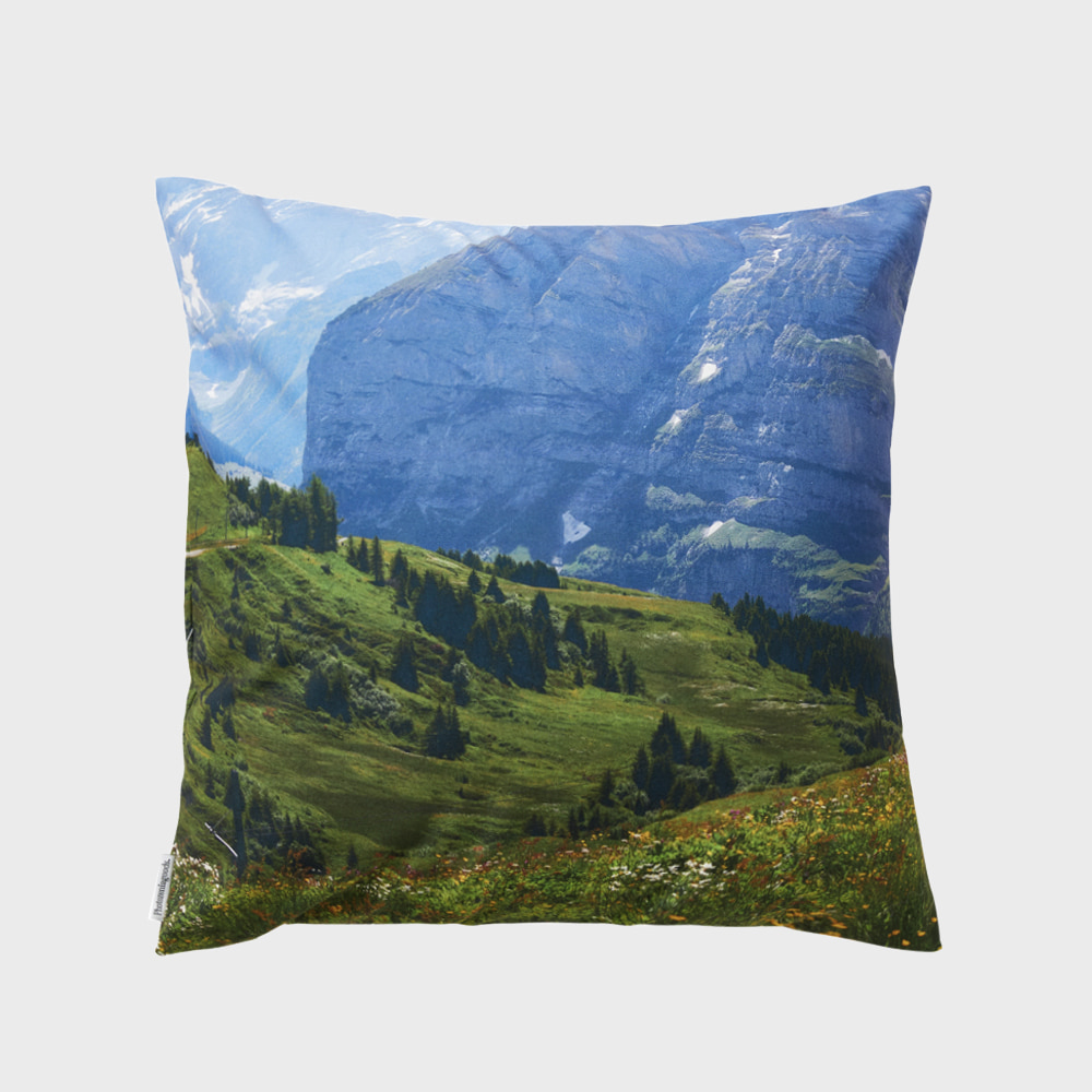 Swiss enjoy cushion